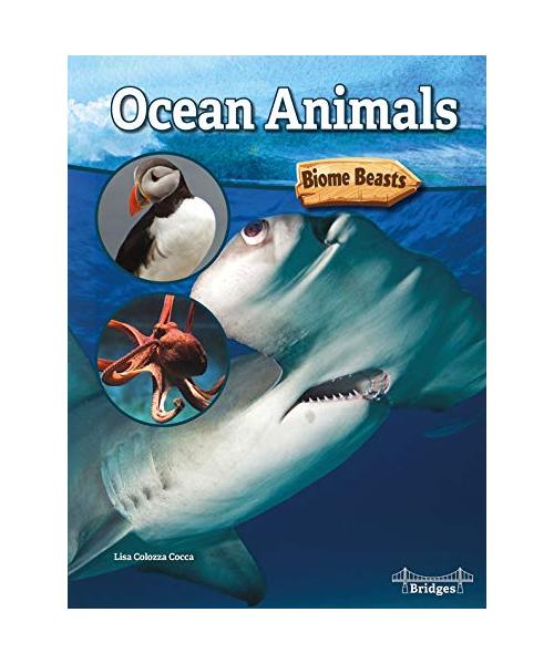 Ocean Animals