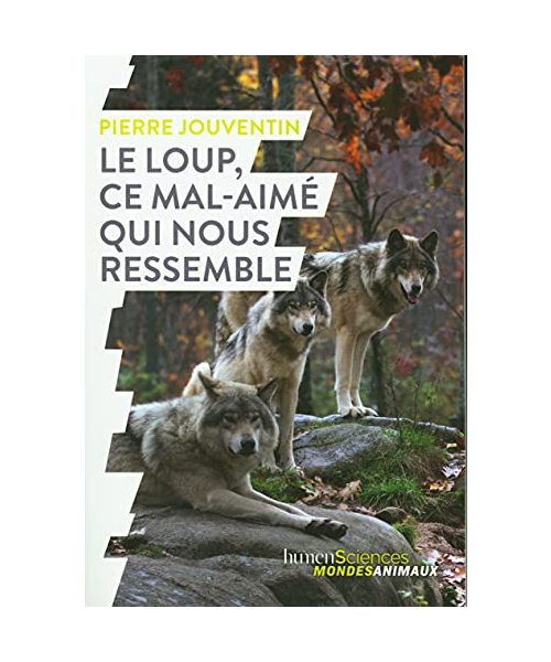 Le loup, ce mal-aimé qui nous ressemble