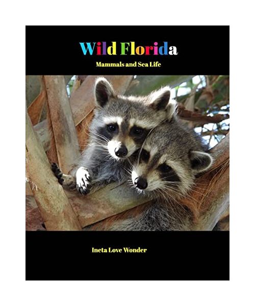 Wild Florida