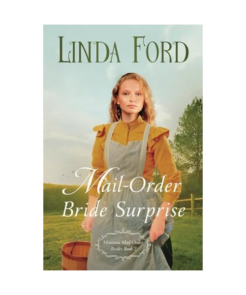 Mail-Order Bride Surprise (Montana Mail-Order Brides, Band 2)
