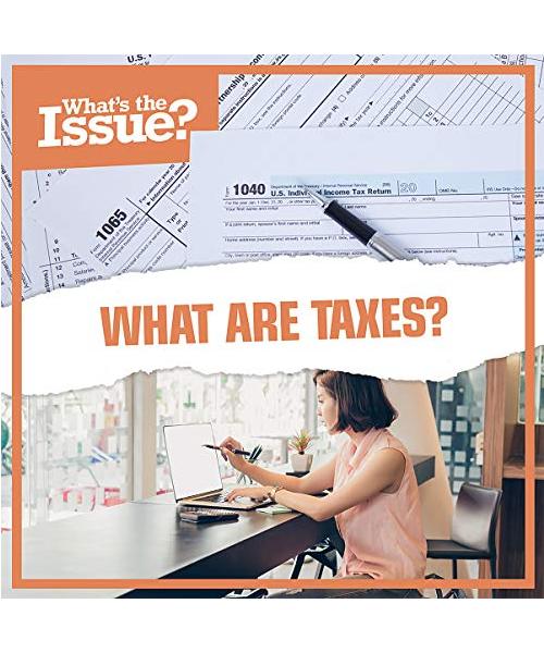 WHAT ARE TAXES (What's the Issue?)