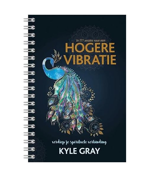 In 111 sessies naar een Hogere Vibratie: verdiep je spirituele verbinding