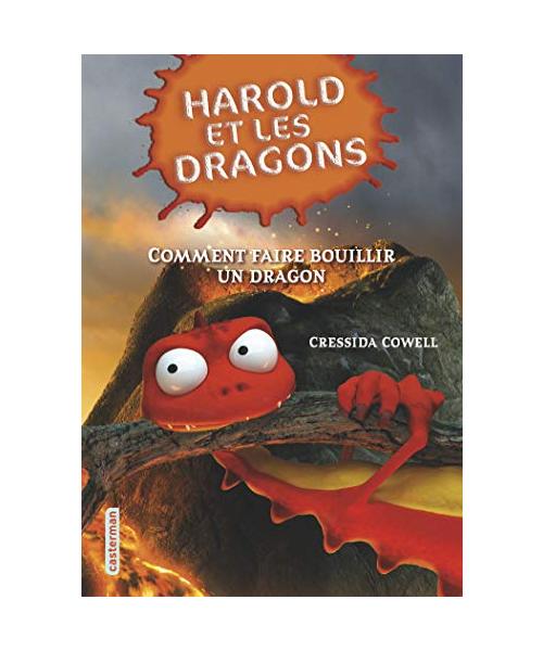 Comment faire bouillir un dragon