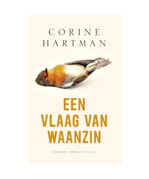 Een vlaag van waanzin