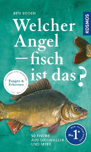 Welcher Angelfisch ist das?
