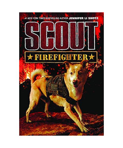 Scout: Fire Fighter