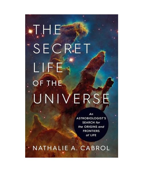 The Secret Life of the Universe