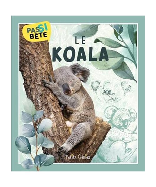 Pas si bête - Le koala
