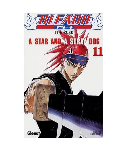 Bleach, tome 11 : A Star and a Stray Dog