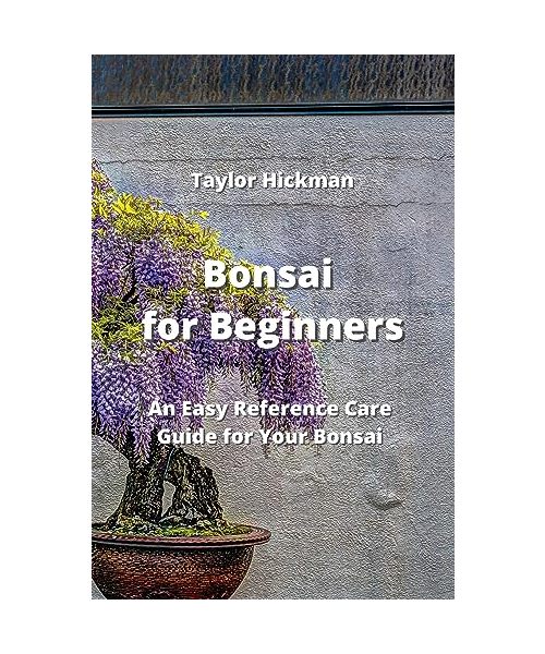 Bonsai for Beginners