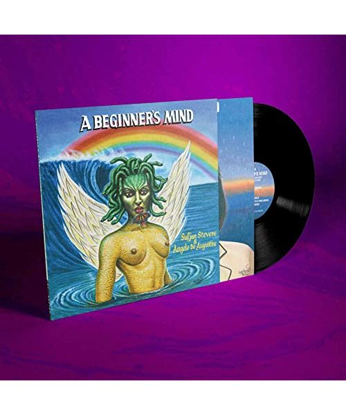 A Beginner'S Mind [Vinyl LP]