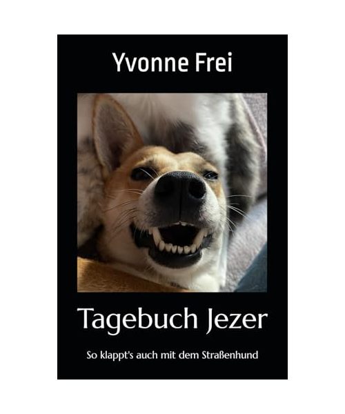 Tagebuch Jezer: So klappt's auch mit dem Straßenhund