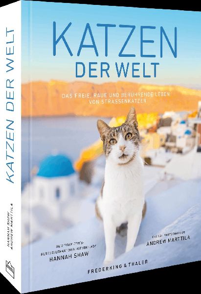 Katzen der Welt