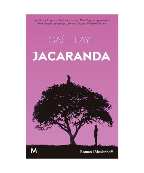 Jacaranda