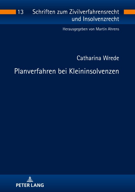 Planverfahren bei Kleininsolvenzen (Schriften zum Zivilverfahrensrecht und Insolvenzrecht, Band 13)