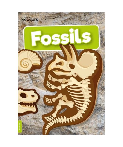 Fossils