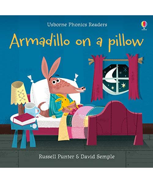 Armadillo on a pillow