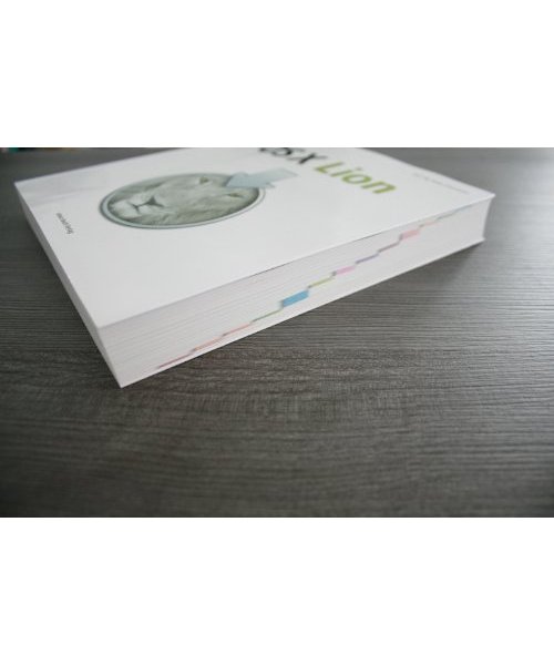 OS X Lion