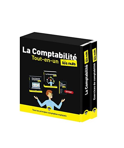 La Comptabilité Tout-en-un pour les Nuls, 2e éd: Coffret en 2 volumes