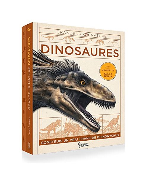 Dinosaures: Construis un vrai crâne de Deinonychus. Avec une maquette à taille réelle