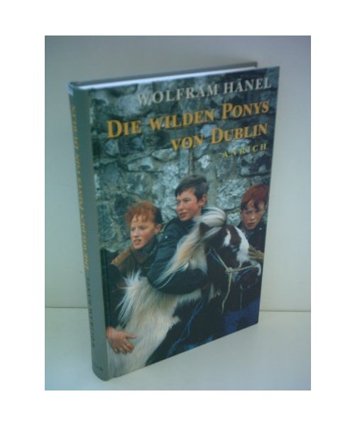 Die wilden Ponys von Dublin.