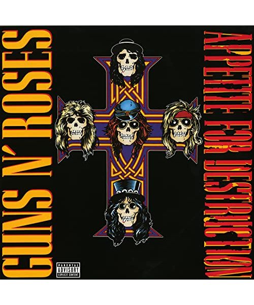 Appetite For Destruction [VINYL]