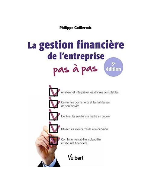 La gestion financière de l'entreprise Pas à pas