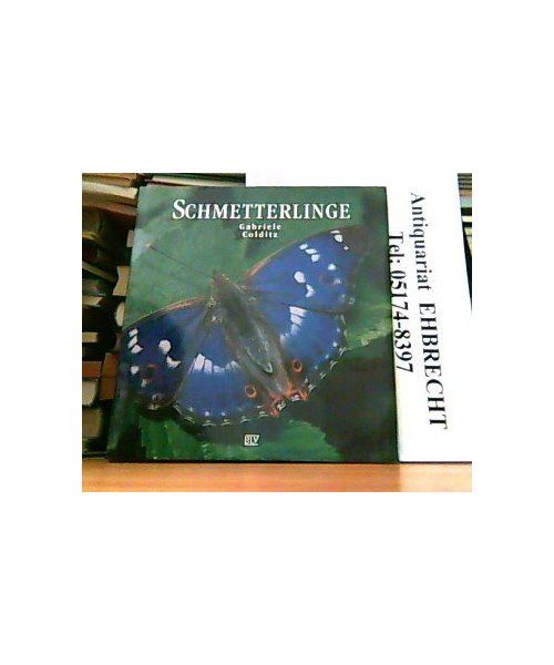 Schmetterlinge