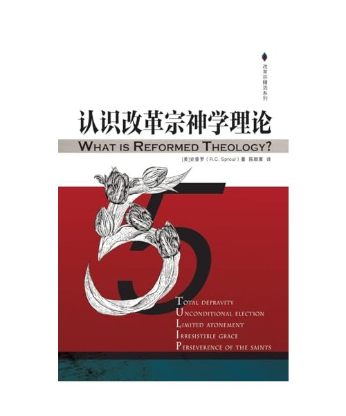 认识改革宗神学理论 What is Reformed Theology