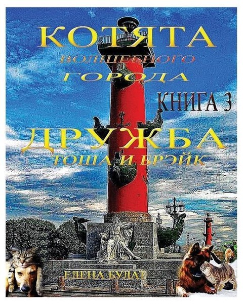 Котята Волшебного Города. Дружба. Тоша и Б
...