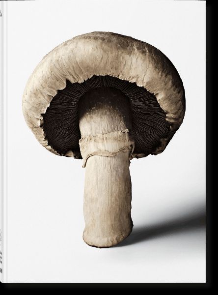 The Gourmand's Mushroom