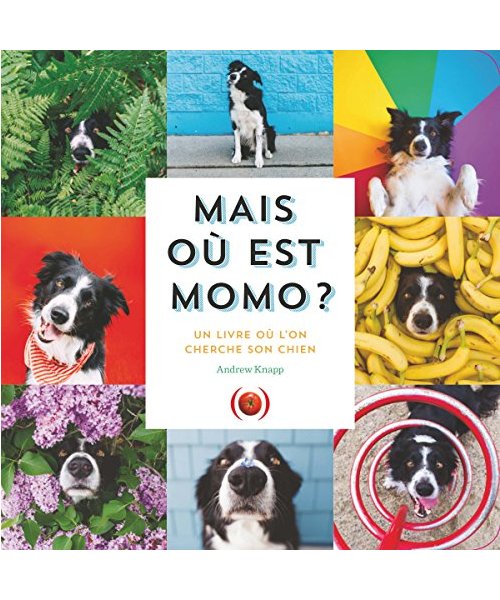 Mais où est Momo ?: Un livre où l'on cherche son chien