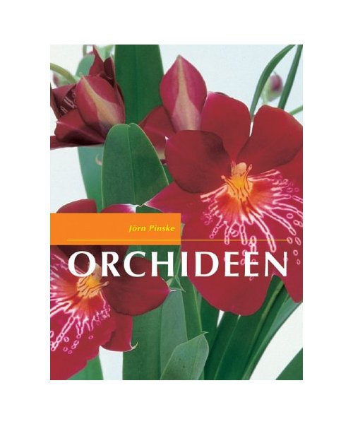 Orchideen.