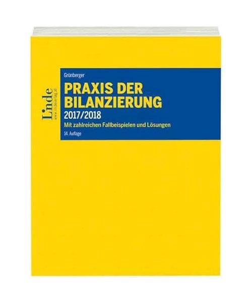 Praxis der Bilanzierung 2017/2018