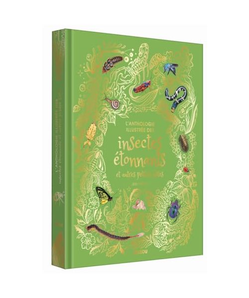 Anthologie illustrée des insectes étonnants et autres petites bêtes