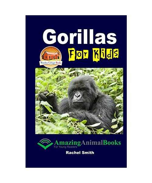 Gorillas For Kids