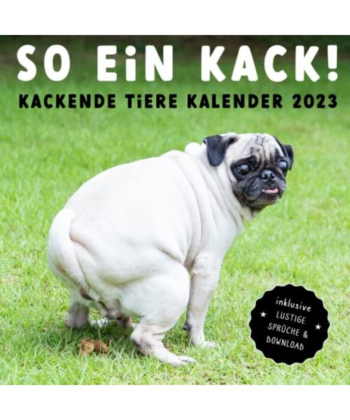 SO EIN KACK! Kackende Tiere Kalender 2022: Das lustige Geschenk für Männer, Frauen, Freunde oder Kollegen zum Geburtstag oder Weihnachten - inkl. Sprüche & Bonus