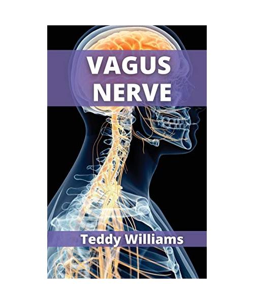 Vagus Nerve: Causes of Anxiety and Depression