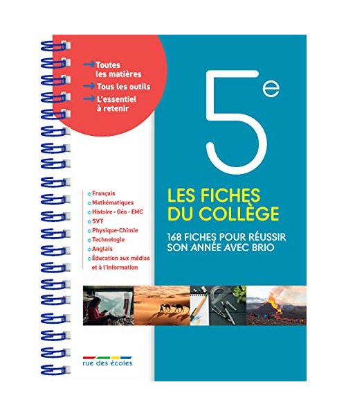 Les fiches du collège 5e: 168 fiches pour réussir son année avec brio