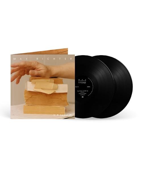 In a Landscape [Vinyl LP]