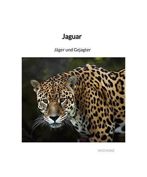 Jaguar - Jäger und Gejagter