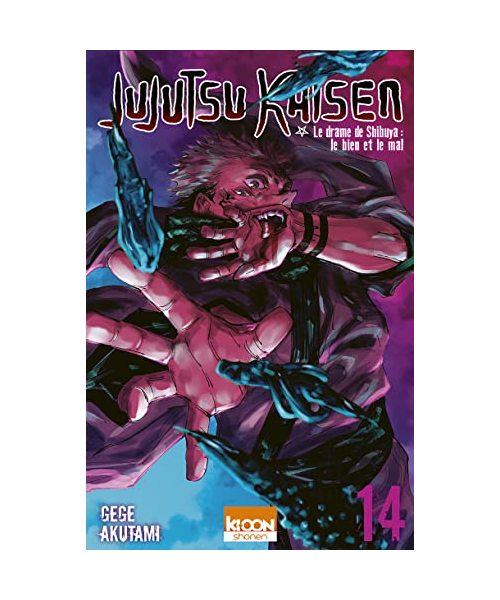 Jujutsu Kaisen T14