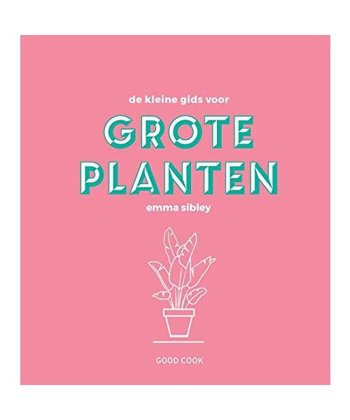 De kleine gids voor grote planten