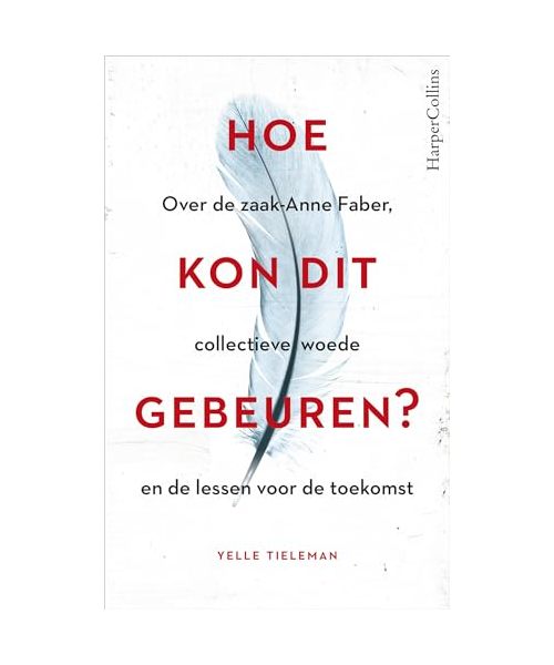 Hoe kon dit gebeuren?: over de zaak Anne Faber, collectieve woede en de lessen voor de toekomst
