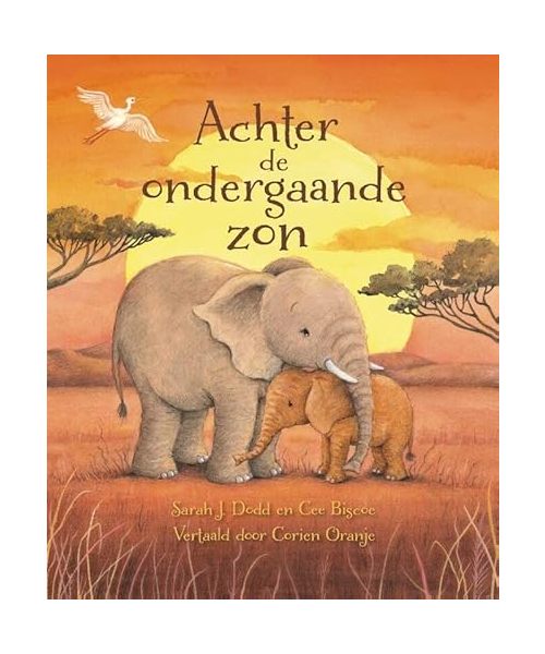 Achter de ondergaande zon
