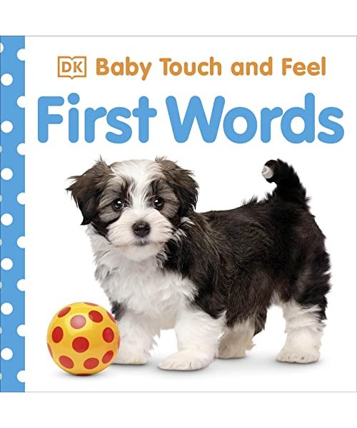 Baby Touch and Feel First Words