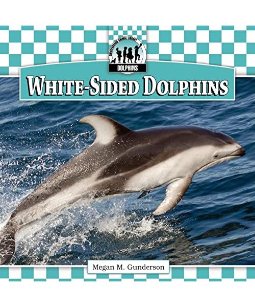White-Sided Dolphins