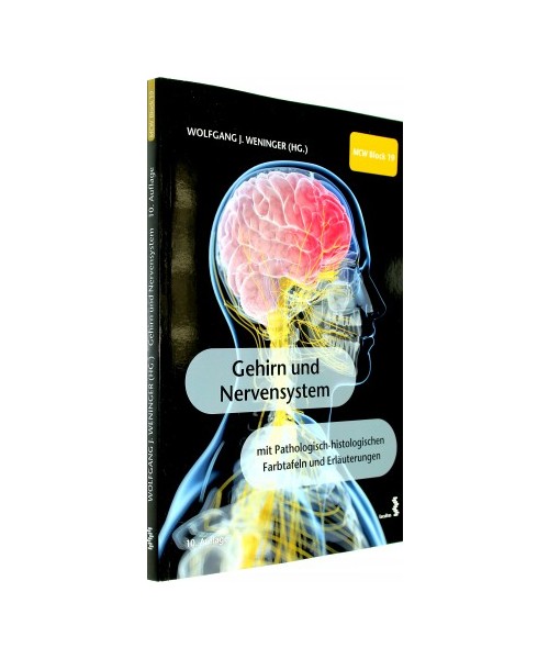 Gehirn und Nervensystem