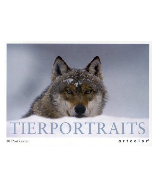 Tierportraits: 30 Postkarten