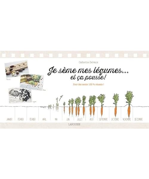 Je sème mes légumes... et ça pousse !: Pour des semis 100 % réussis !